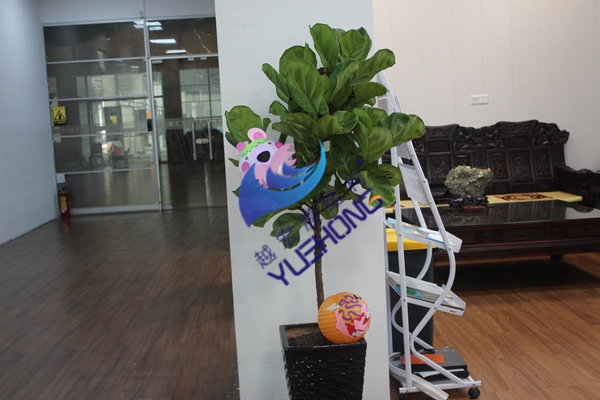 1568181917507678.jpg IMG_2985.jpg